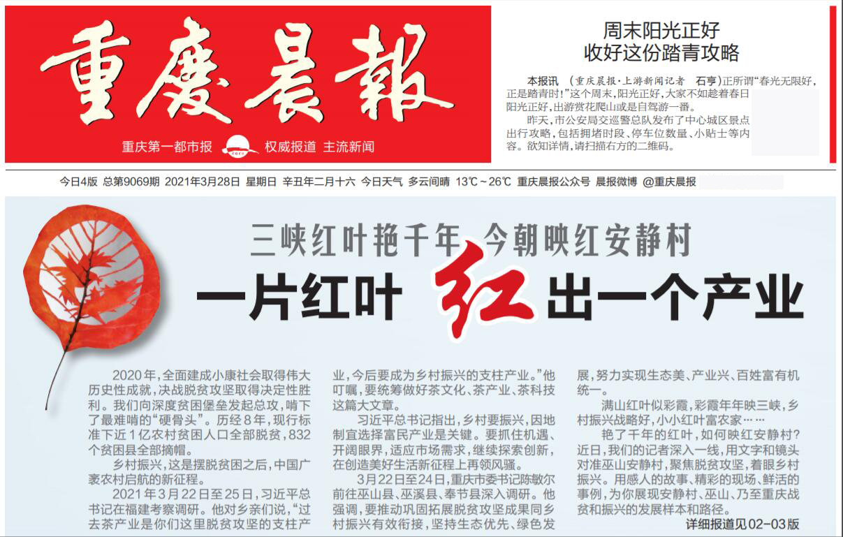 重慶晨報(bào)遺失聲明登報(bào)掛失 重慶晨報(bào)遺失聲明登報(bào)掛失