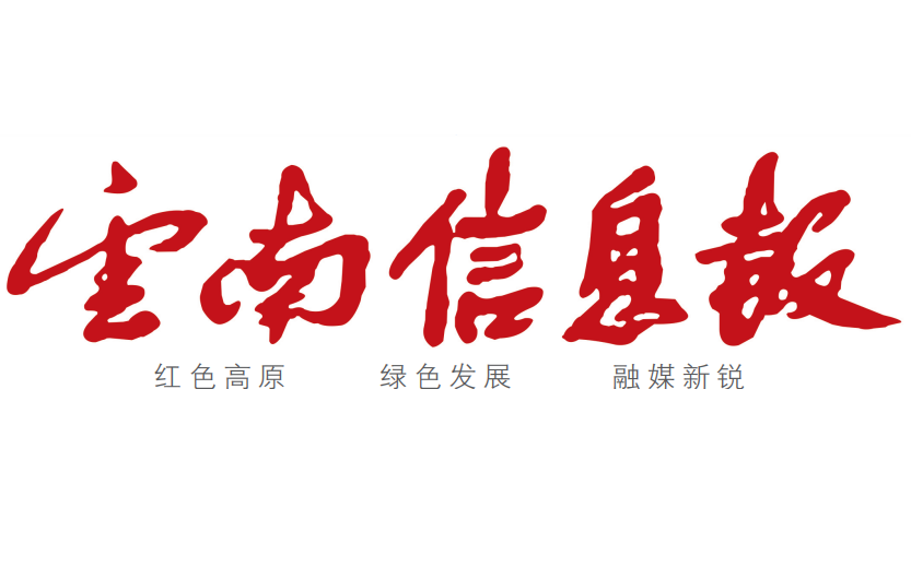 云南信息報登報電話 云南信息報登報電話